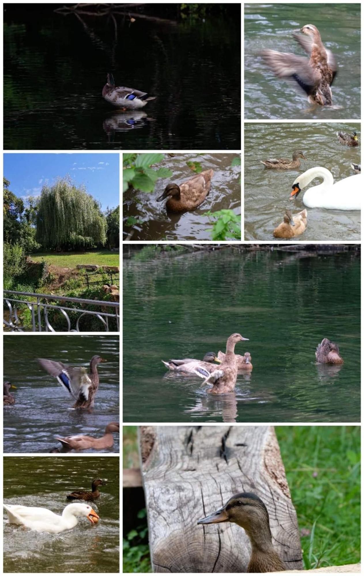 O Jardin De Boutancourt Villa Kültér fotó