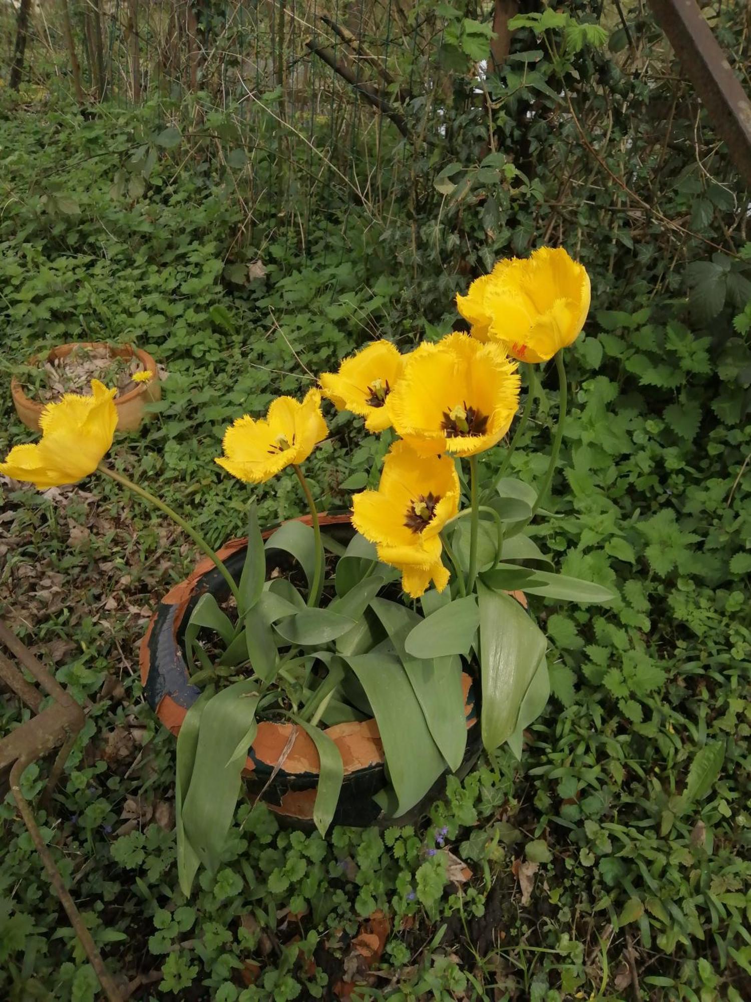 O Jardin De Boutancourt Villa Kültér fotó