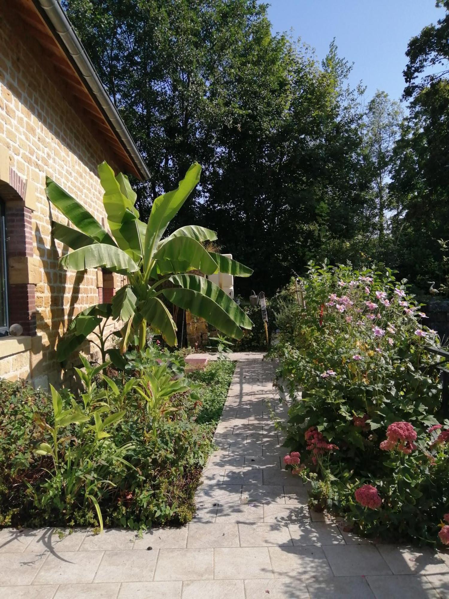 O Jardin De Boutancourt Villa Kültér fotó