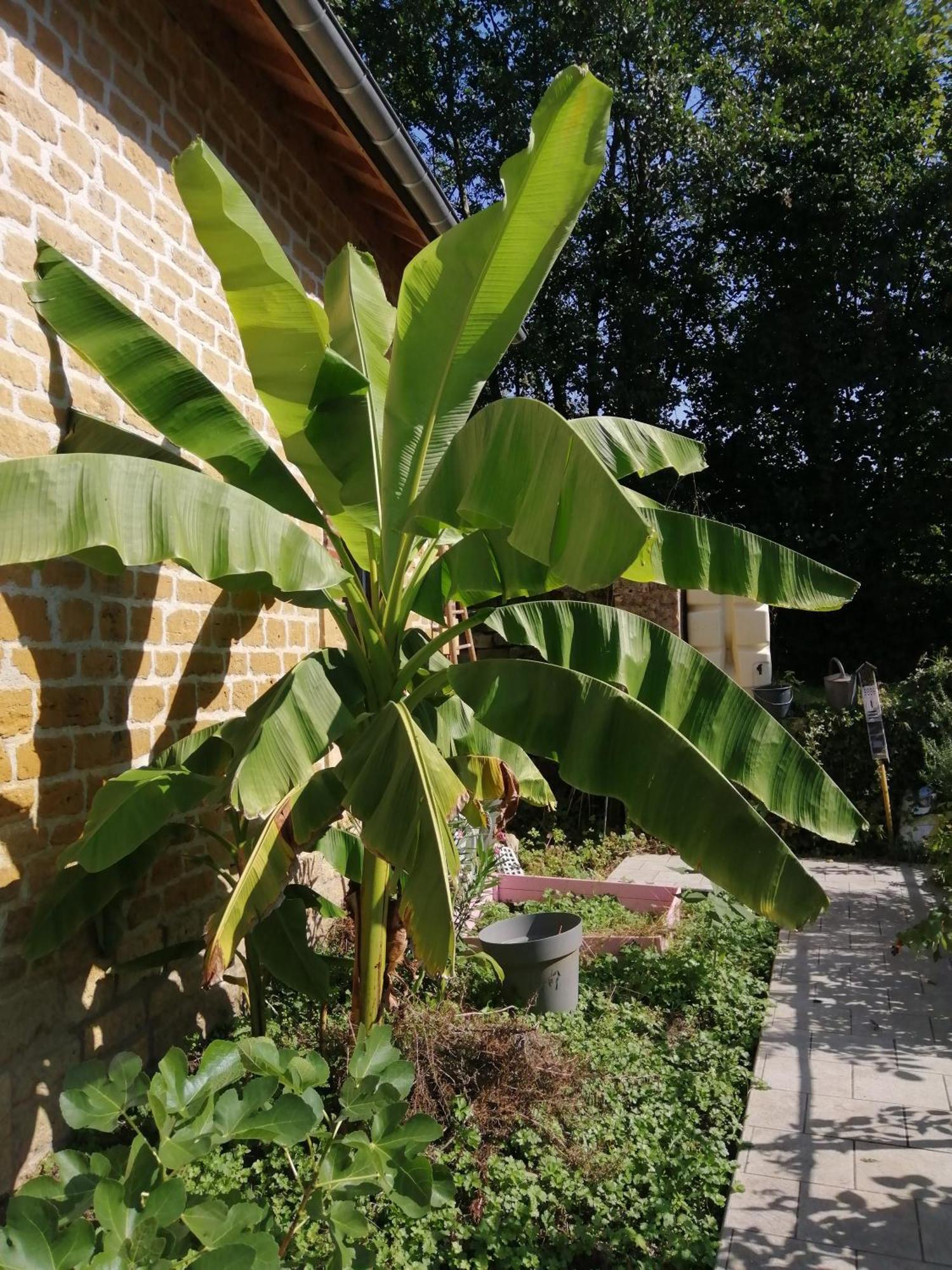 O Jardin De Boutancourt Villa Kültér fotó