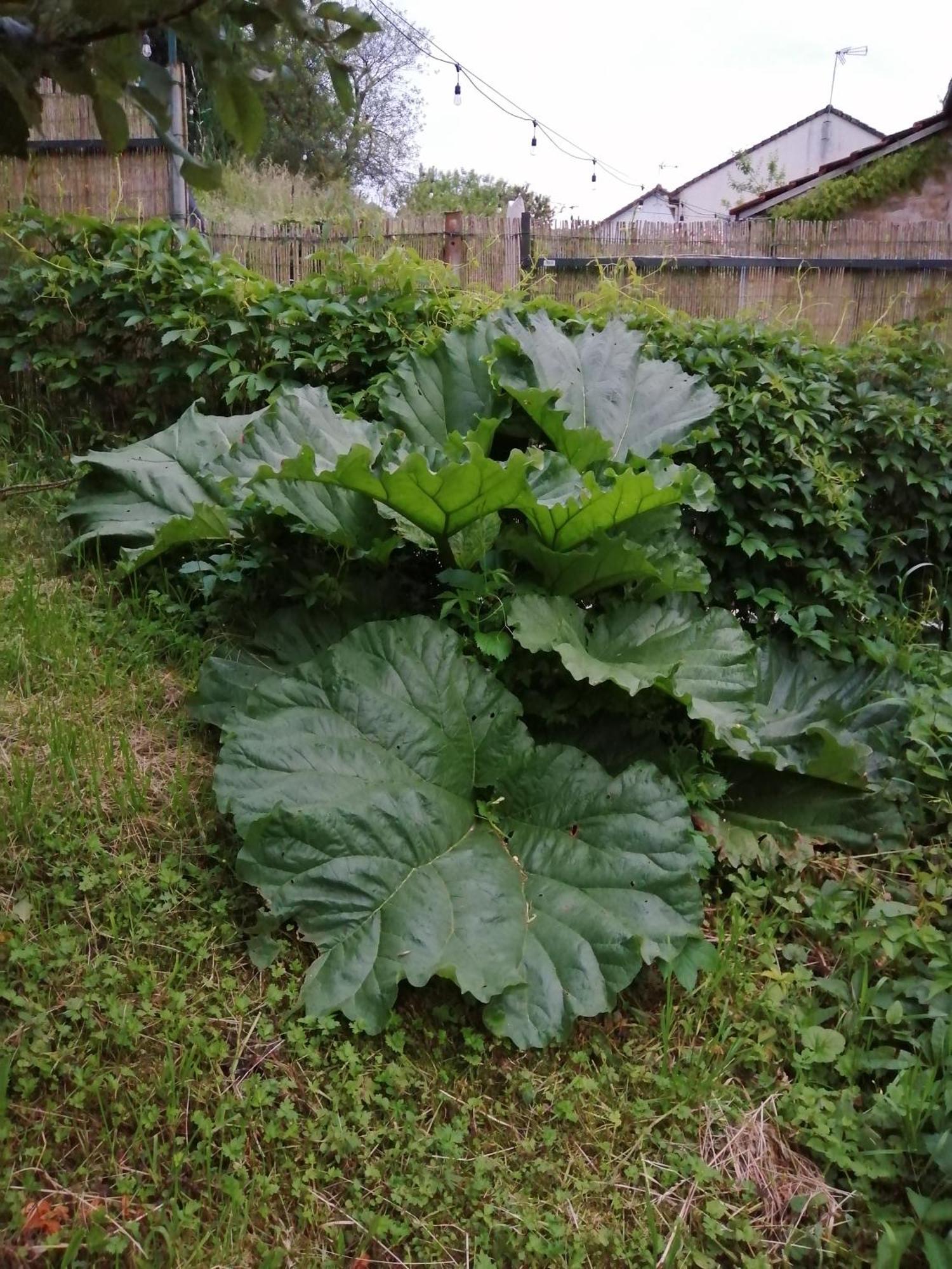 O Jardin De Boutancourt Villa Kültér fotó